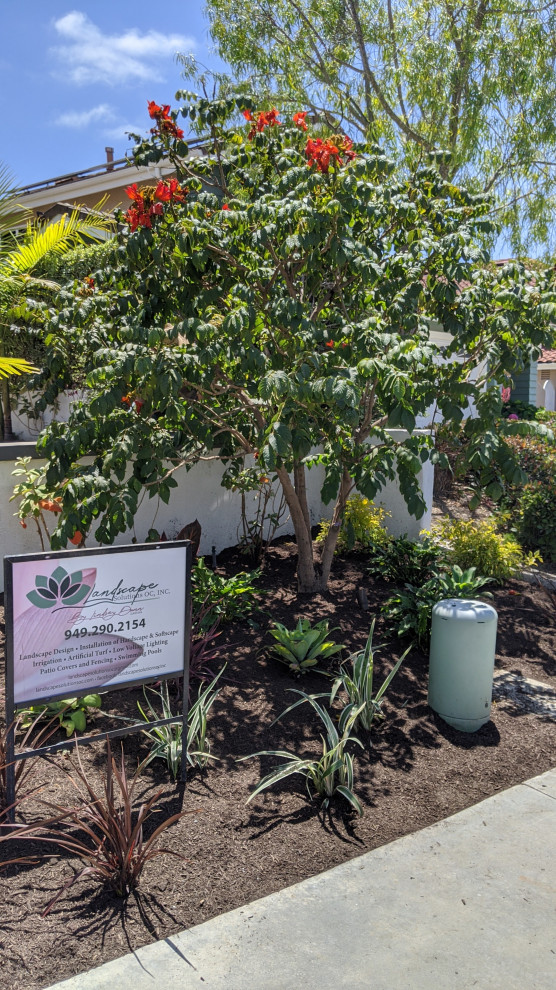 Spanish House with Modern Touch - Image 11